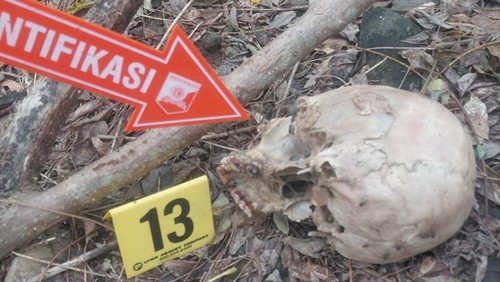 Kasus Pembunuhan Ayah oleh Tiga Anak Gegerkan Publik, Jasad Ditemukan Tinggal Tulang di Hutan